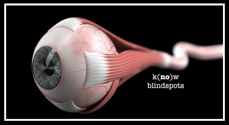 Know your blind spots diagram.