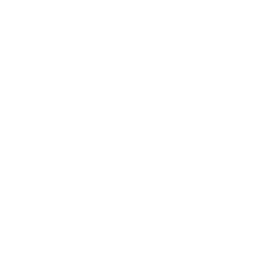Blauer Tactical Systems — SPEAR System